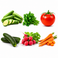Kit de semillas para huerto 6 variedades - calabaza, cilantro, jitomate, pepino, rábano y zanahoria