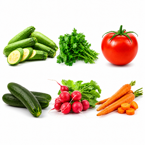 Kit de semillas para huerto 6 variedades - calabaza, cilantro, jitomate, pepino, rábano y zanahoria